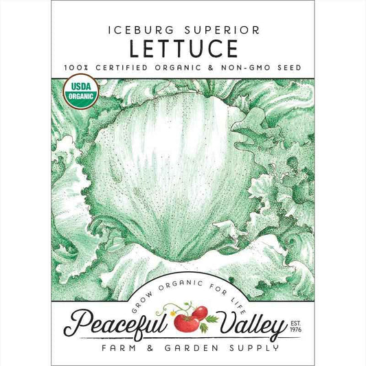 Organic Iceberg Superior Lettuce Seeds, Packet or 1 oz