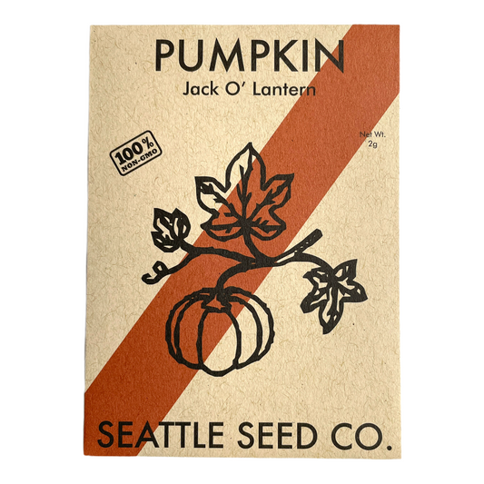 Pumpkin Seeds – Large Orange, Deep Ridged, 25 lb Fruit, 115 Days