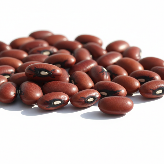 Red Cowpea Bean Seeds