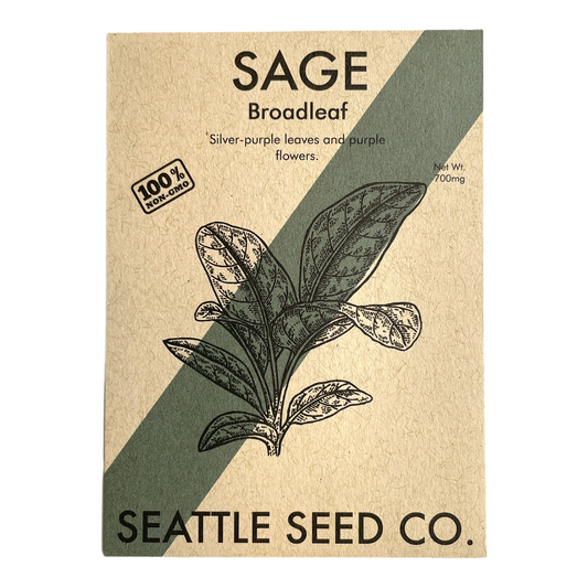 Seed packet for Sage Broadleaf from Seattle Seed Co. with botanical illustration and text.