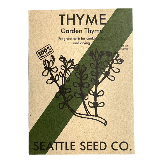 Common Thyme Seeds – Perennial Herb, Open-Pollinated, 60-90 Days